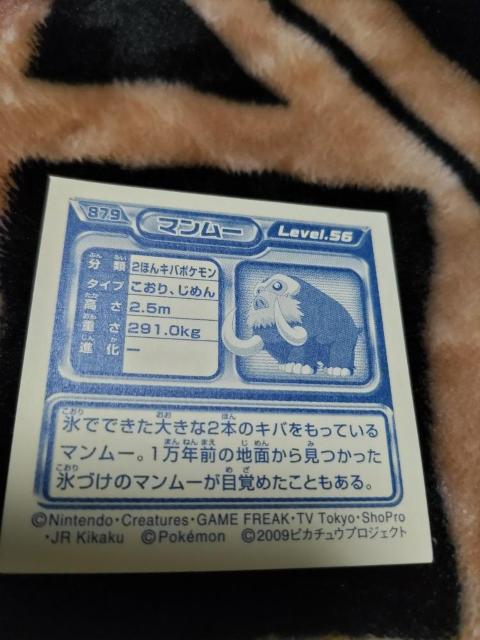ポケモンシール◆2009ピカチュウプロジェクト◆マンムー < アニメ/コミック/キャラクター  ポケモンシール◆2009ピカチュウプロジェクト◆マンムー < アニメ/コミック/キャラクターの