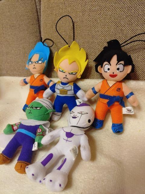 gp@hS{[@Joɕtłʂ݁@5ރZbgI  Aj/R~bN/LN^[ 