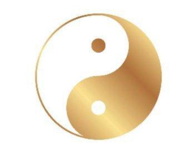 オーガニックコットン Tシャツ XL ブラック統合 世界平和 陰陽統合 < 男性ファッション オーガニックコットン Tシャツ XL ブラック統合 世界平和 陰陽統合 < 男性ファッションの