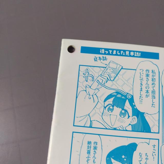 �{�@�A�[�X�E�X�^�[+�n���� �� �A�j��/�R�~�b�N/�L�����N�^�[�� 