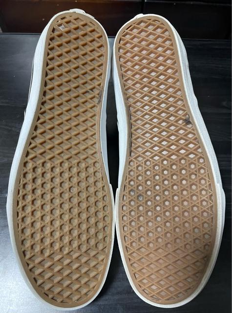 i@oY VANS Xj[J[ NVbN Xb| Black/Parrot VAN DOREN Y An@nC