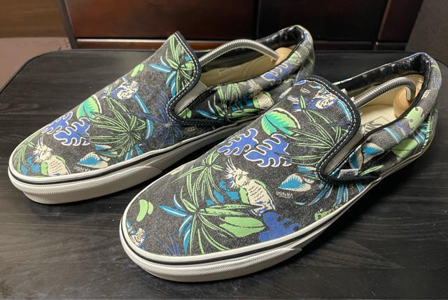 i@oY VANS Xj[J[ NVbN Xb| Black/Parrot VAN DOREN Y An@nC
