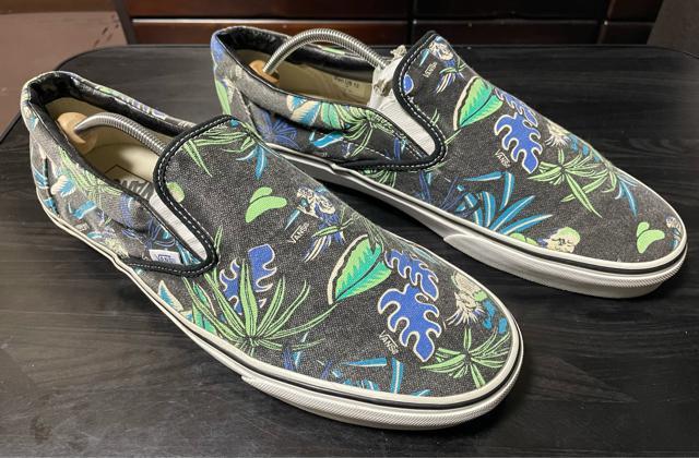 i@oY VANS Xj[J[ NVbN Xb| Black/Parrot VAN DOREN Y An@nC