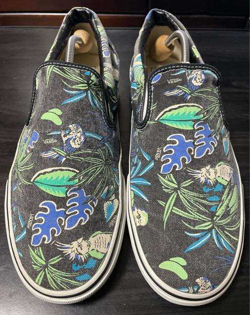 i@oY VANS Xj[J[ NVbN Xb| Black/Parrot VAN DOREN Y An@nC