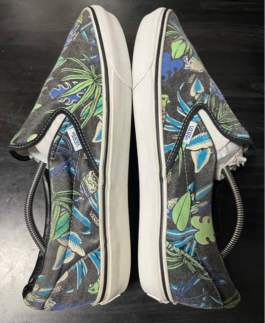 i@oY VANS Xj[J[ NVbN Xb| Black/Parrot VAN DOREN Y An@nC