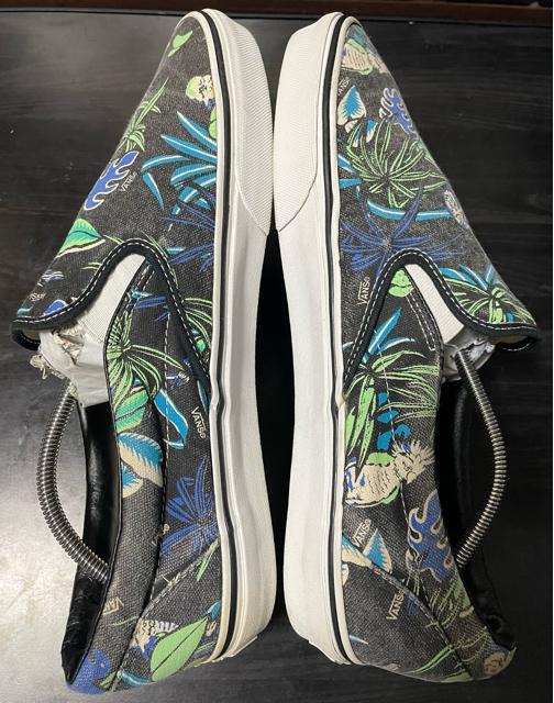 i@oY VANS Xj[J[ NVbN Xb| Black/Parrot VAN DOREN Y An@nC