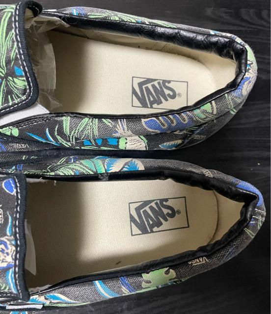 i@oY VANS Xj[J[ NVbN Xb| Black/Parrot VAN DOREN Y An@nC