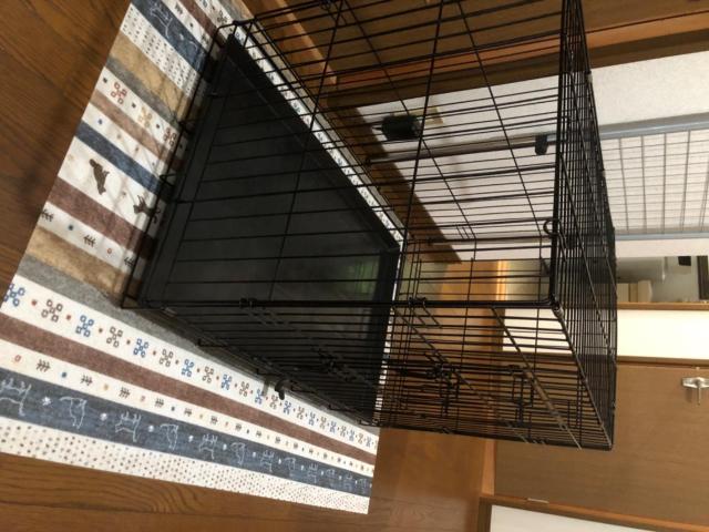 ★Lサイズ★ 折り畳み式 ペットケージ 小中型犬 カンタン設置 49×75×56 < ペット/手芸/園芸  ★Lサイズ★ 折り畳み式 ペットケージ 小中型犬 カンタン設置 49×75×56 < ペット/手芸/園芸の