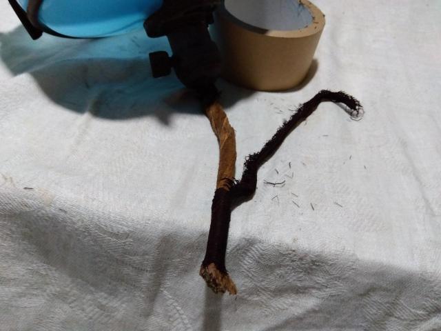 ♪古い青色ガラスの電気の笠 < 家電/AV  ♪古い青色ガラスの電気の笠 < 家電/AVの