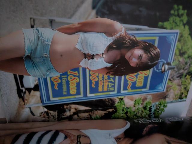 DOLCE�V�H�󏃕\�� �� �{/�G���� 