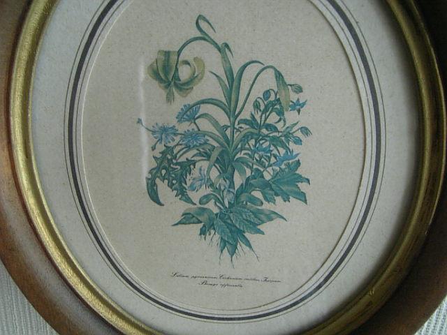 ANTIQUE/AeB[N@G  {/G 