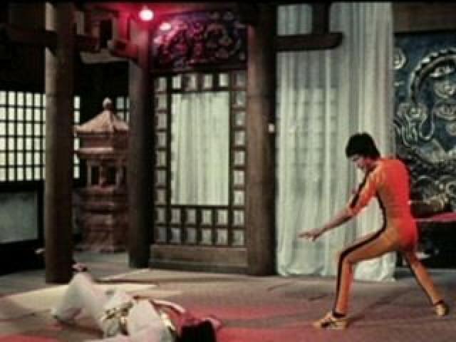 wu[XE[-tH[Go[x{ꎚ  CD/DVD/rfI 