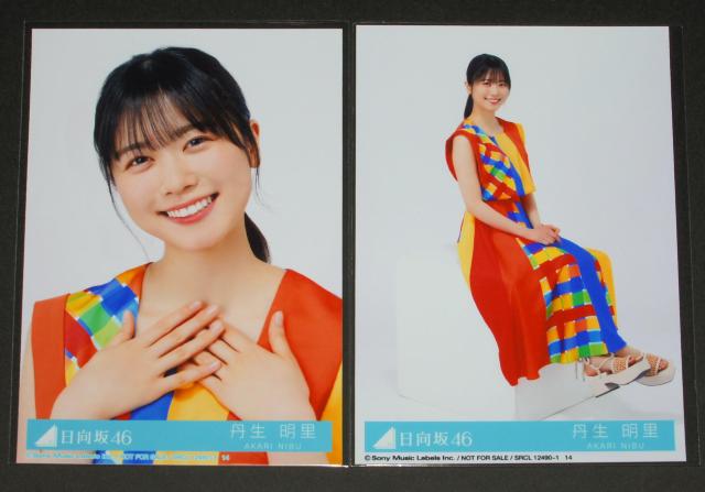 日向坂46 One choice 生写真2枚セット  丹生明里 < タレントグッズ  日向坂46 One choice 生写真2枚セット  丹生明里  < タレントグッズの