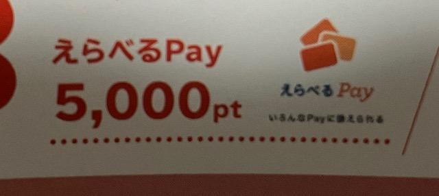 ׂpay5000pt/100l2 