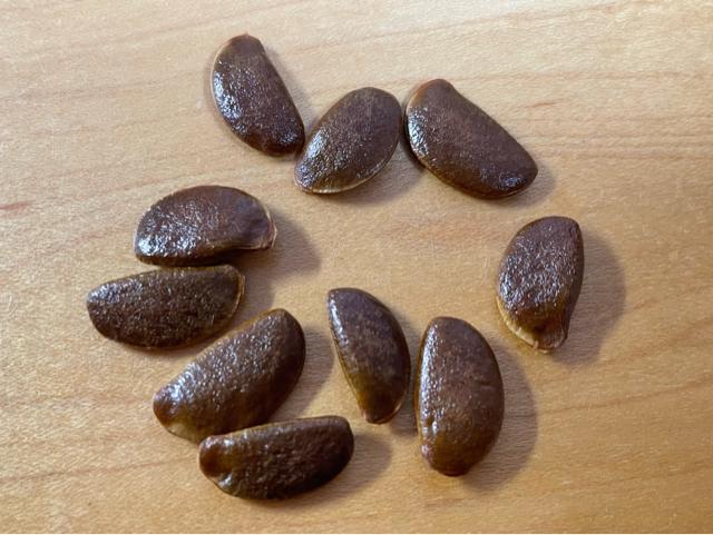 �M�B���I ���������`�̎�10���I�@�n���ƊÂ��Ĕ��������I  �� �y�b�g/��|/���|�� 