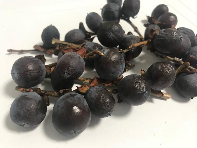 �M�B���I ���������`�̎�10���I�@�n���ƊÂ��Ĕ��������I �� �y�b�g/��|/���|�� 