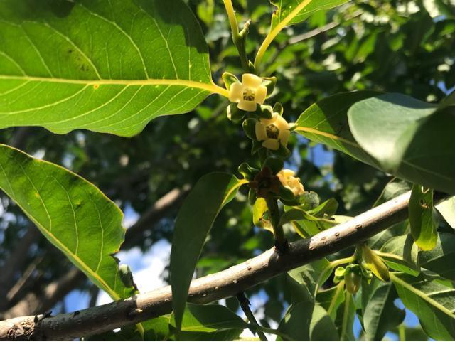 �M�B���I ���������`�̎�10���I�@�n���ƊÂ��Ĕ��������I �� �y�b�g/��|/���|�� 