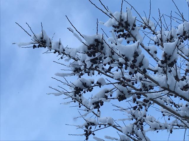 �M�B���I ���������`�̎�10���I�@�n���ƊÂ��Ĕ��������I �� �y�b�g/��|/���|�� 