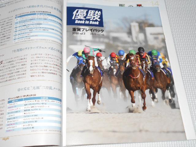 G Dx 2020 4 qt n̈ꐶ fB[vCpNg  {/G 