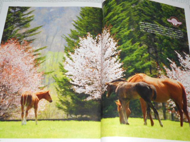 G Dx 2020 4 qt n̈ꐶ fB[vCpNg  {/G 