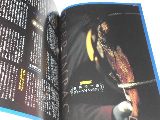 G Dx 2020 4 qt n̈ꐶ fB[vCpNg  {/G 