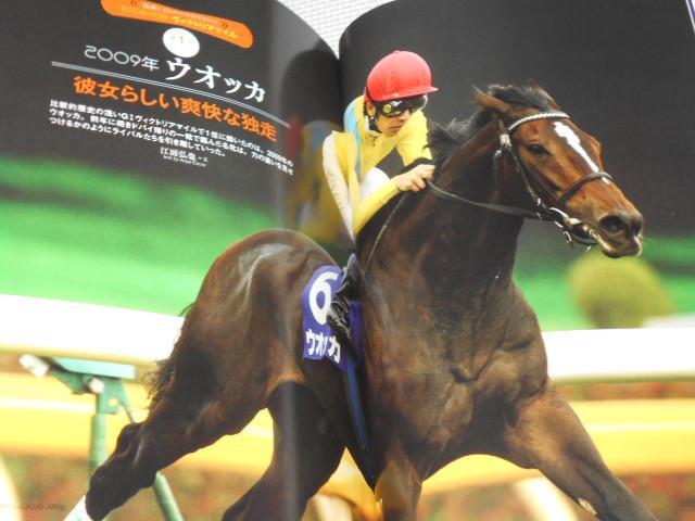 G Dx 2020 4 qt n̈ꐶ fB[vCpNg  {/G 