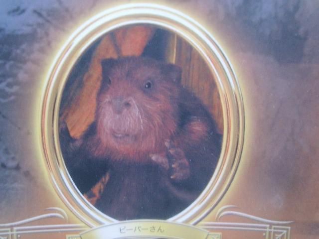 J }Nhihnbs[Zbg ijAꁃr[o[  zr[ 