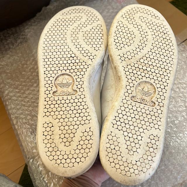 adidasX^X~XR{Xj[J[23.5  uh 