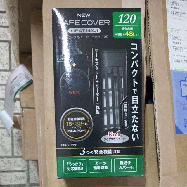 GEX@NEWZ[tJo[q[gir120   ybg/|/| 