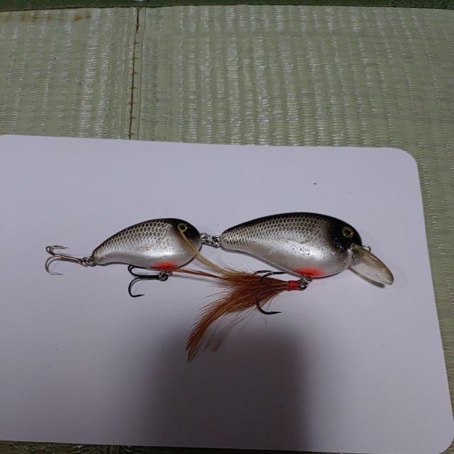 �{�[�}�[�N�����N�x�C�g  �� ���W���[/�X�|�[�c�� 