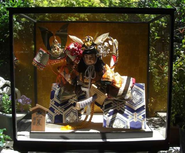 [ߏ/Ač;Ґl`^P[X蒆Ôi  CeA/Ct 