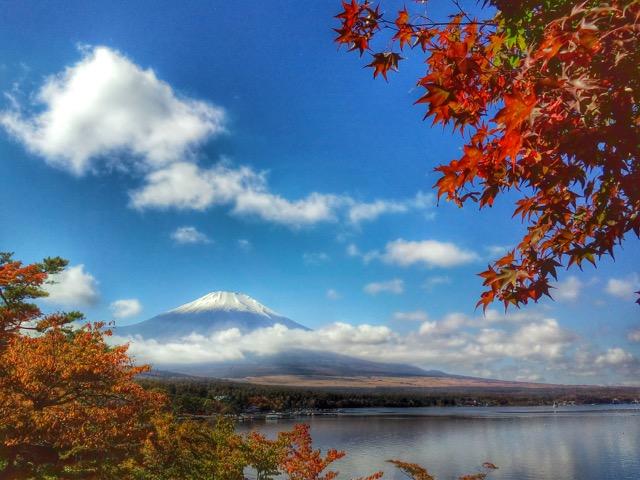 世界遺産 富士山 写真 紅葉と富士山 A4又は2L版 額付き < ホビー  世界遺産 富士山 写真 紅葉と富士山 A4又は2L版 額付き  < ホビーの
