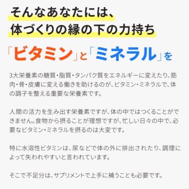 マルチビタミン&マルチミネラル サプリメント約3ヵ月分 健康食品 < ヘルス/ビューティー  マルチビタミン&マルチミネラル サプリメント約3ヵ月分 健康食品 < ヘルス/ビューティーの