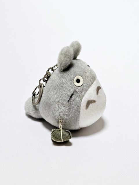 ƂȂ̃gg gg ʂ݃L[z_[ O̐XWup