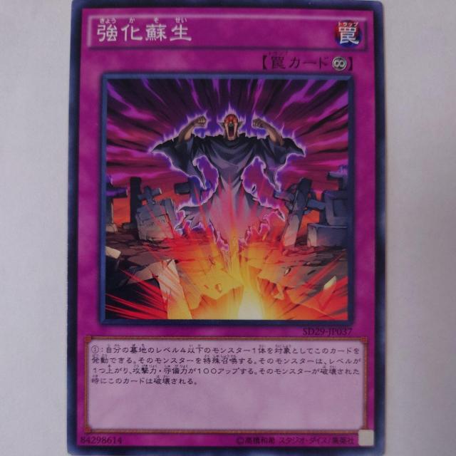 遊戯王 強化蘇生 ノーマル < トレーディングカード  遊戯王 強化蘇生 ノーマル  < トレーディングカードの