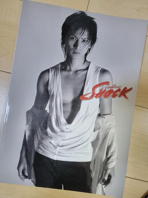 送料無料 堂本光一 パンフレット2冊 美品 < タレントグッズ  送料無料 堂本光一 パンフレット2冊 美品 < タレントグッズの