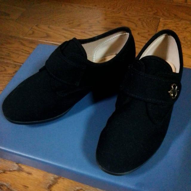 22.5cm@@i@ҁ@o@V[Y   t@bV 