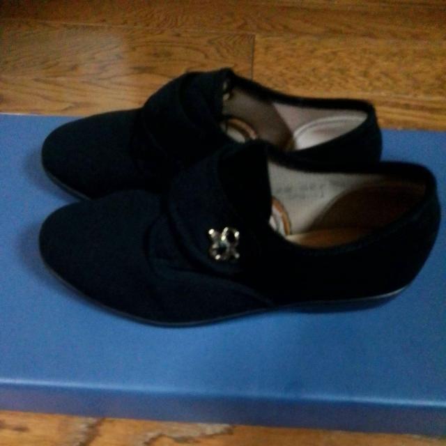 22.5cm@@i@ҁ@o@V[Y  t@bV 