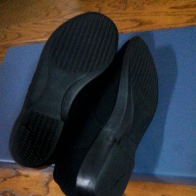 22.5cm@@i@ҁ@o@V[Y  t@bV 