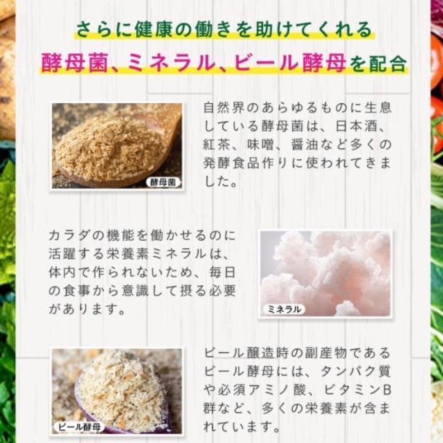 まいにち酵素サプリメント 450種類の野菜 野草 果実 海藻 キノコ 豆類を使用 健康食品 < グルメ/ドリンク  まいにち酵素サプリメント 450種類の野菜 野草 果実 海藻 キノコ 豆類を使用 健康食品 < グルメ/ドリンクの