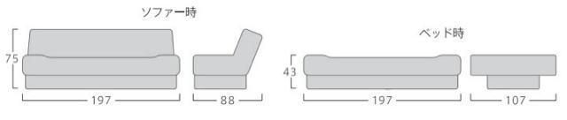 艿19󂠂{xbhfX\t@[xbh[t  CeA/Ct 