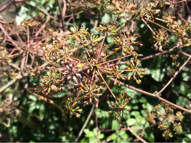 qEKgEL({RlQ)̎100ȏ(mFς݁I)  ybg/|/| 