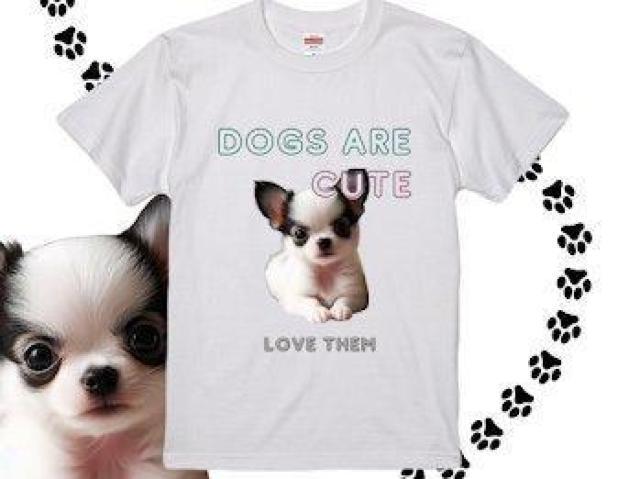 nCNIeB[ TVcfB[X ق qTVc   t@bV 