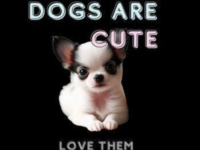 nCNIeB[ TVcfB[X ق qTVc  t@bV 