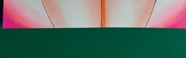 DD^Xqy|[YQZbgznKLTCY