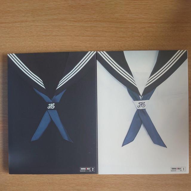 スウィングガールズ プレミアム・エディション < CD/DVD/ビデオ スウィングガールズ プレミアム・エディション < CD/DVD/ビデオの