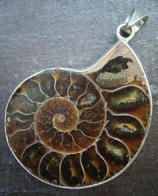 AiCgVo[gbv@TDSZ`@   ANZT[/v 