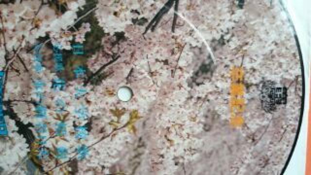 日本大学校歌 < CD/DVD/ビデオ  日本大学校歌  < CD/DVD/ビデオの