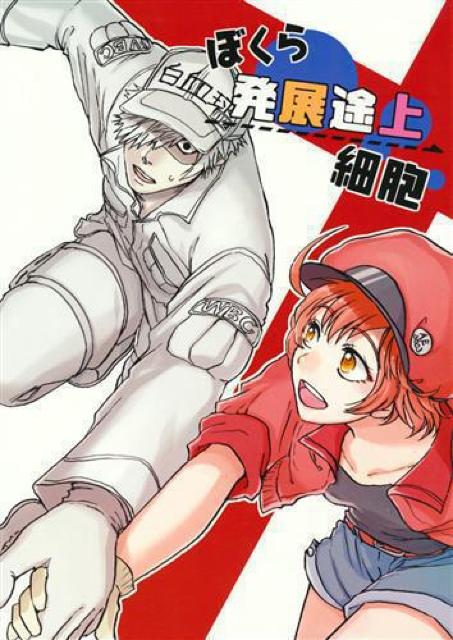 はたらく細胞同人誌「ぼくら発展途上細胞」《白血球×赤血球》 < アニメ/コミック/キャラクター  はたらく細胞同人誌「ぼくら発展途上細胞」《白血球×赤血球》  < アニメ/コミック/キャラクターの