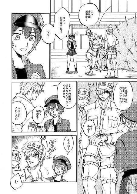 はたらく細胞同人誌「ぼくら発展途上細胞」《白血球×赤血球》 < アニメ/コミック/キャラクター  はたらく細胞同人誌「ぼくら発展途上細胞」《白血球×赤血球》 < アニメ/コミック/キャラクターの